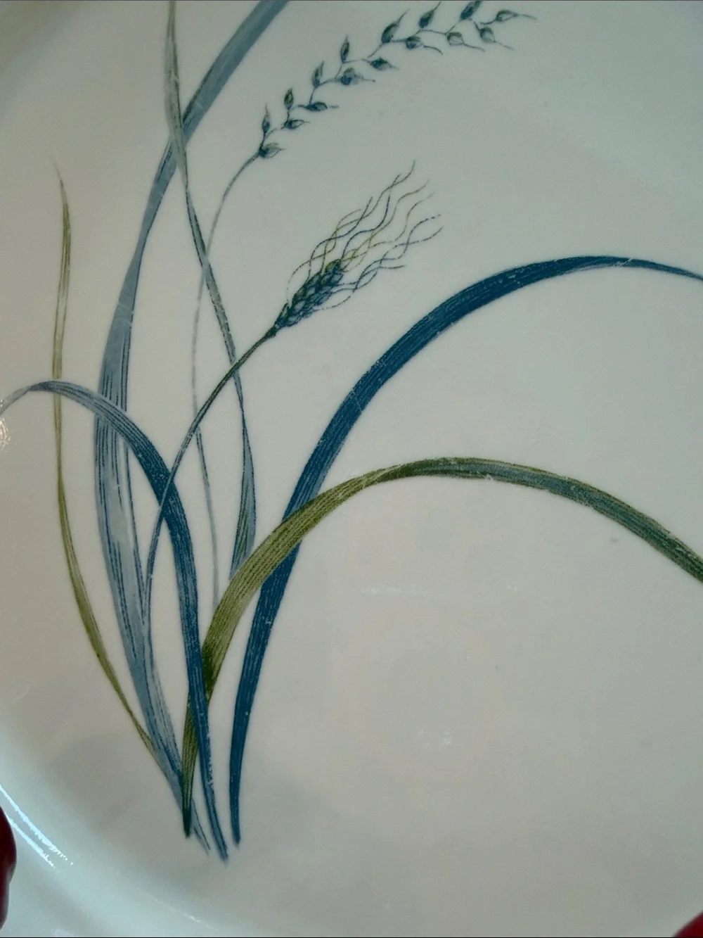 Vintage Corelle Coastal Breeze pattern plate by Corning.  Good vintage condition
